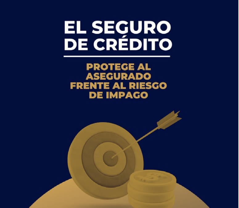 Cómo funciona el seguro de crédito y cómo puede proteger tu empresa