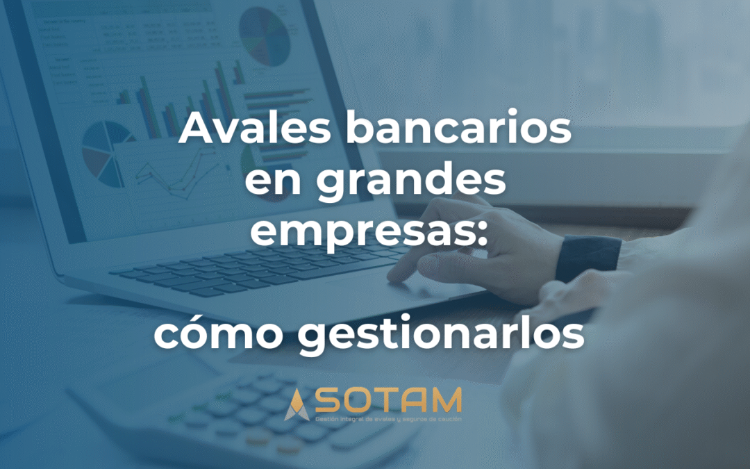 Gestión de avales en grandes empresas: por qué necesitas unos procedimientos de gestión, control y seguimiento rigurosos