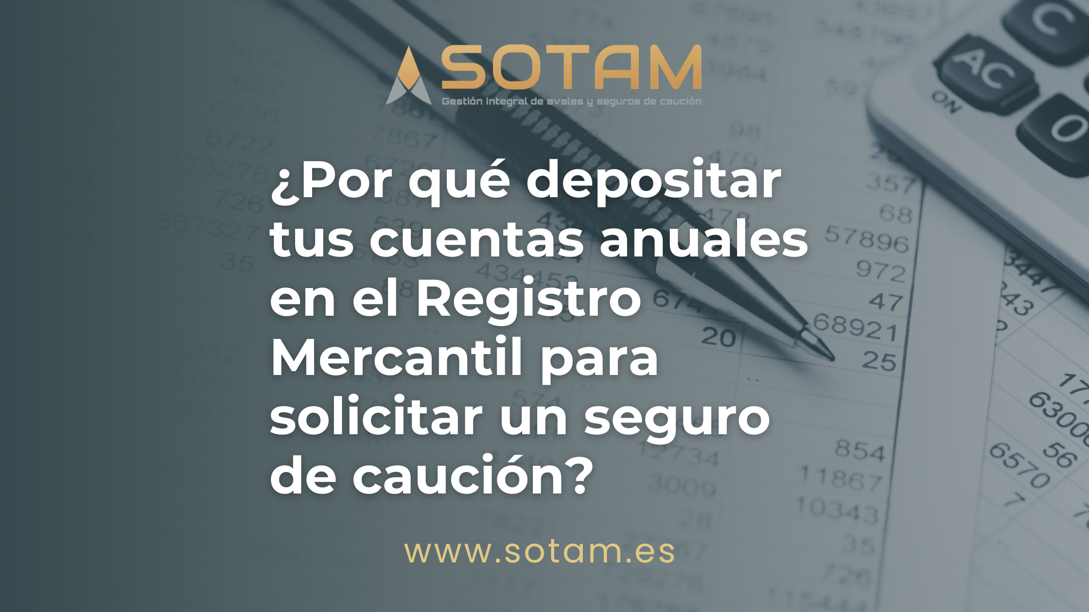 cuentas anuales Registro Mercantil seguro caución