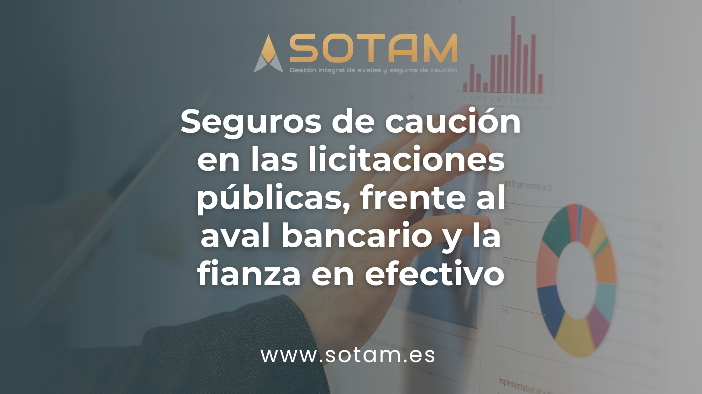 seguros de caución licitaciones públicas seguros de caución licitaciones públicas